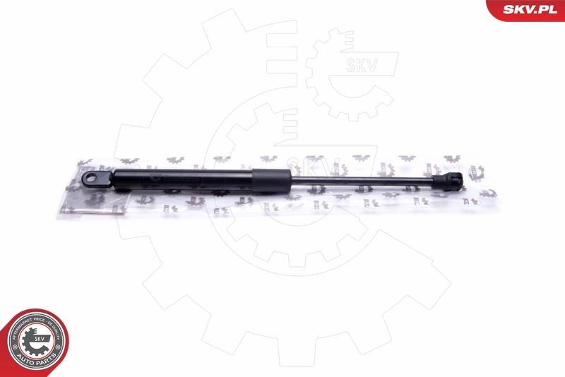 Gas Spring, boot/cargo area